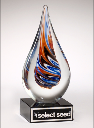 Teardrop-shaped art glass award on black glass base