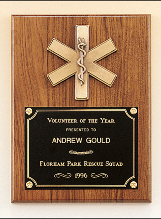 Plaques with Metal Accessories Emergency medical award with antique bronze finish casting.